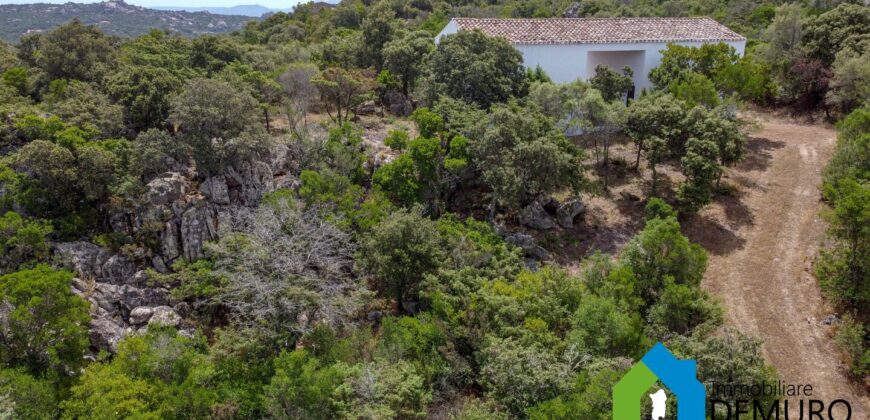 Rustico da ristrutturare in vendita ad Olbia Ref. Li Furreddi