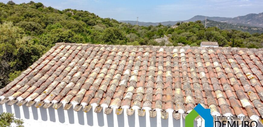 Rustico da ristrutturare in vendita ad Olbia Ref. Li Furreddi