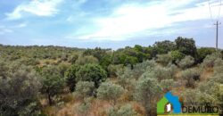 Rustico da ristrutturare in vendita ad Olbia Ref. Li Furreddi