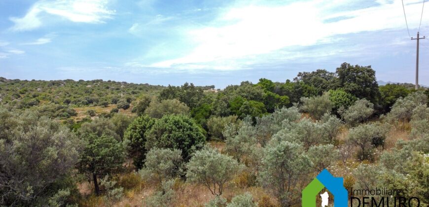 Rustico da ristrutturare in vendita ad Olbia Ref. Li Furreddi