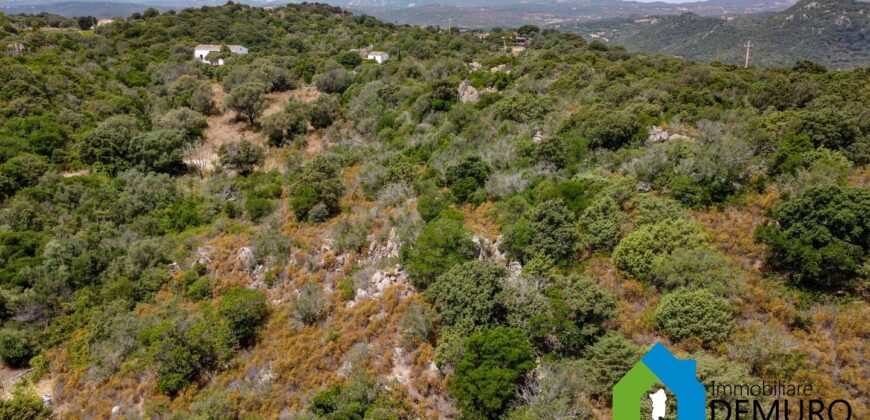 Rustico da ristrutturare in vendita ad Olbia Ref. Li Furreddi