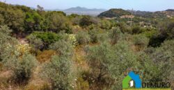 Rustico da ristrutturare in vendita ad Olbia Ref. Li Furreddi