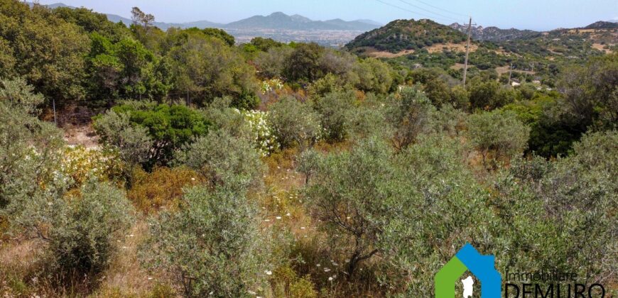 Rustico da ristrutturare in vendita ad Olbia Ref. Li Furreddi