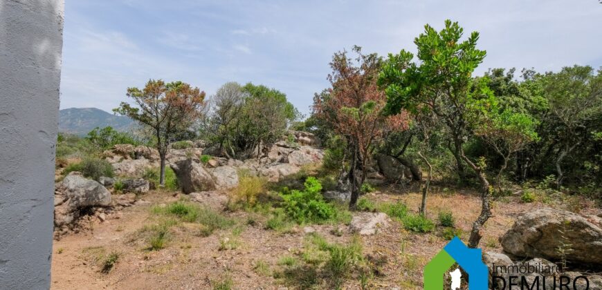 Rustico da ristrutturare in vendita ad Olbia Ref. Li Furreddi