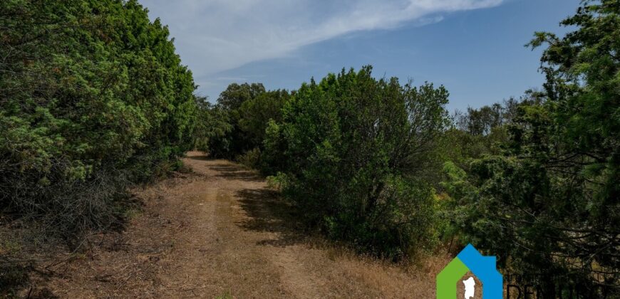 Rustico da ristrutturare in vendita ad Olbia Ref. Li Furreddi