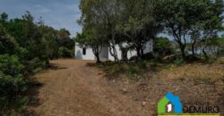 Rustico da ristrutturare in vendita ad Olbia Ref. Li Furreddi