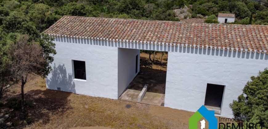 Rustico da ristrutturare in vendita ad Olbia Ref. Li Furreddi