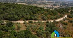 Rustico da ristrutturare in vendita ad Olbia Ref. Li Furreddi