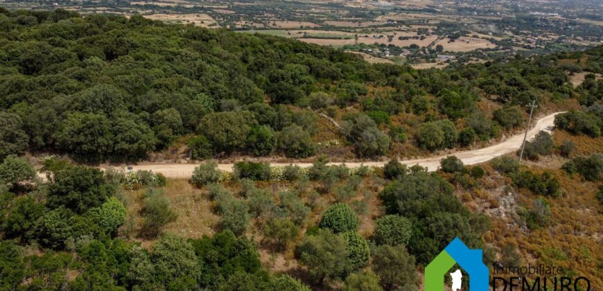 Rustico da ristrutturare in vendita ad Olbia Ref. Li Furreddi