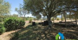 Country Villa for Sale in Telti Ref. Li Ruini