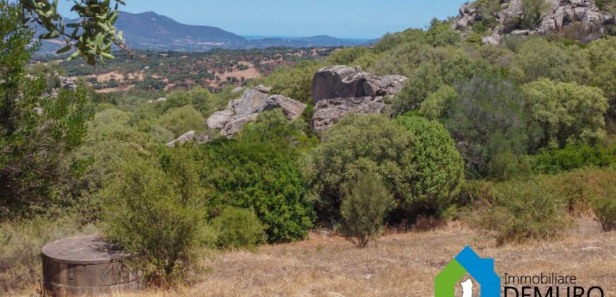 Casale in vendita Gallura Ref Cuncosu B