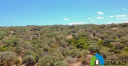 Casale in vendita Gallura Ref Cuncosu B