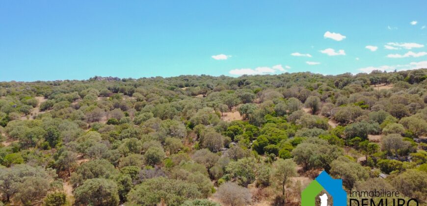 Casale in vendita Gallura Ref Cuncosu B