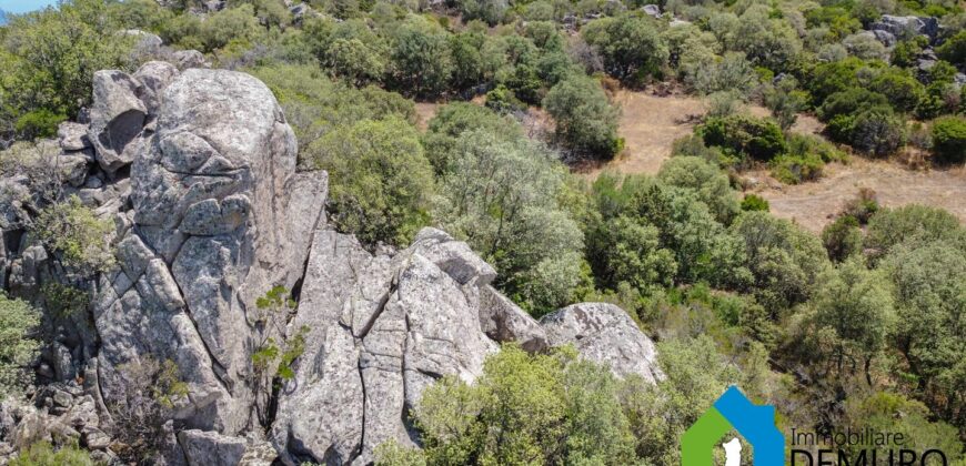 Casale in vendita Gallura Ref Cuncosu B