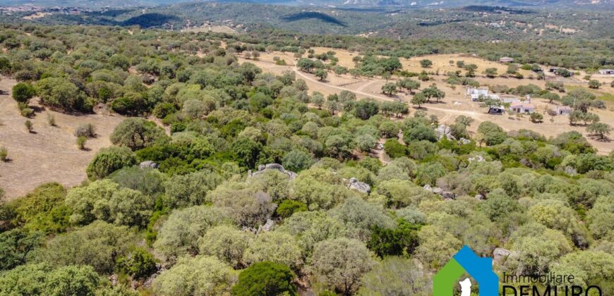 Casale in vendita Gallura Ref Cuncosu B