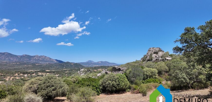 Casale in vendita Gallura Ref Cuncosu B