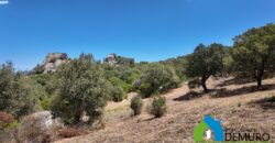 Casale in vendita Gallura Ref Cuncosu B