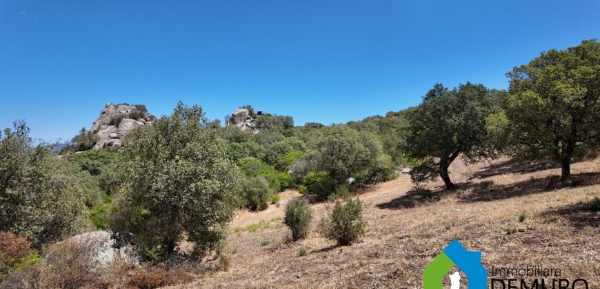 Casale in vendita Gallura Ref Cuncosu B