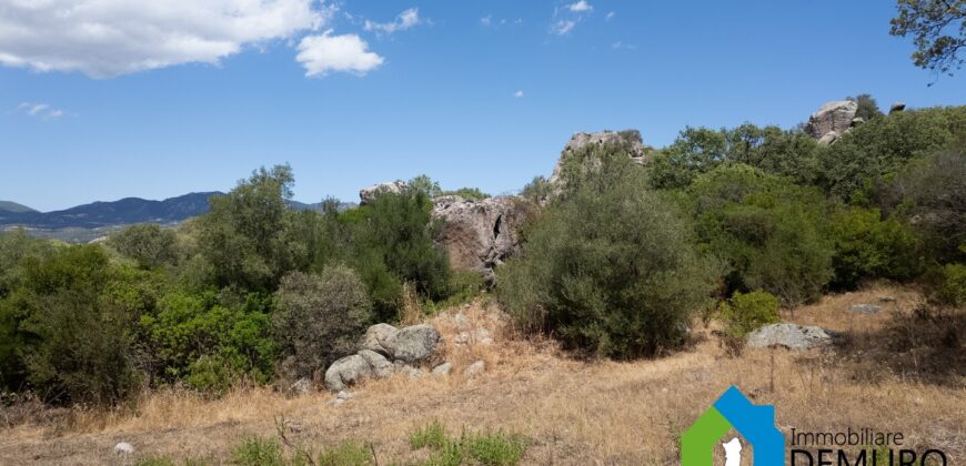 Casale in vendita Gallura Ref Cuncosu B