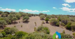 Casale in vendita Gallura Ref Cuncosu B