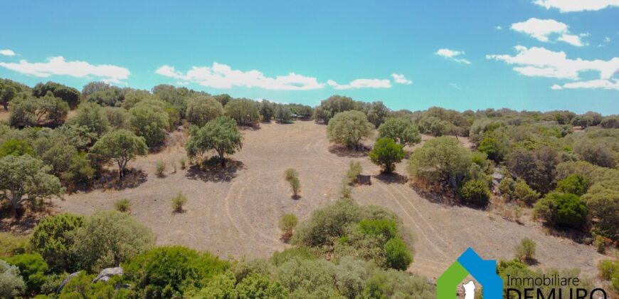 Casale in vendita Gallura Ref Cuncosu B