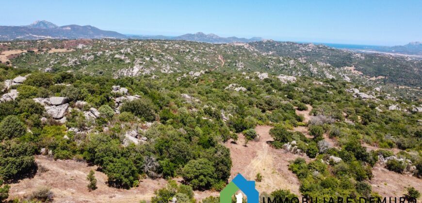 Stazzo gallurese in vendita Ref Cuncosu D