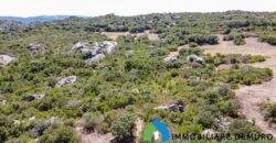 Stazzo gallurese in vendita Ref Cuncosu D