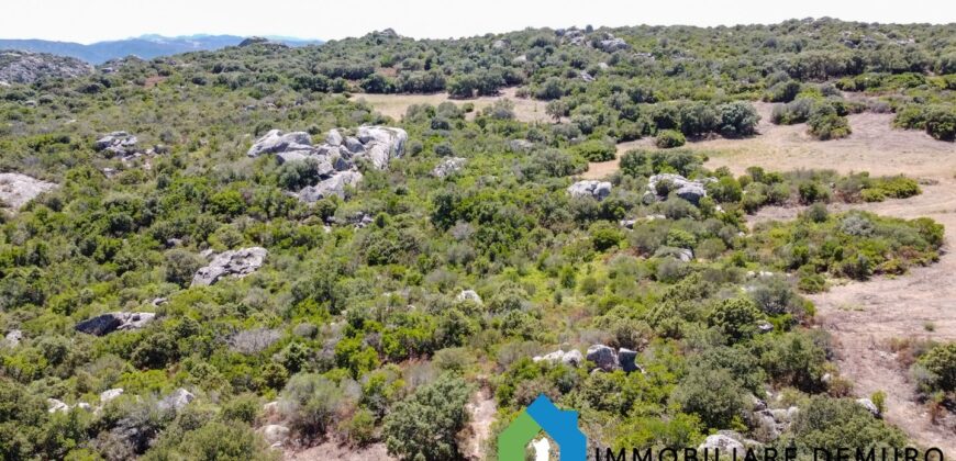 Stazzo gallurese in vendita Ref Cuncosu D