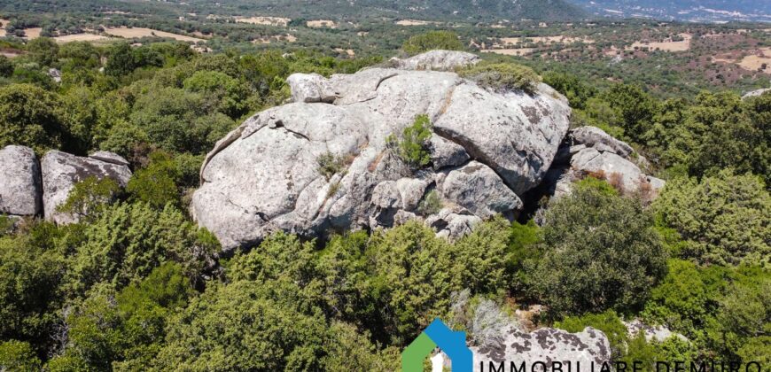Stazzo gallurese in vendita Ref Cuncosu D