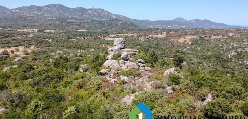 Stazzo gallurese in vendita Ref Cuncosu D
