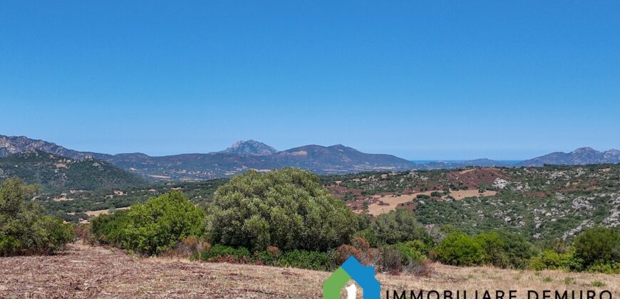 Stazzo gallurese in vendita Ref Cuncosu D