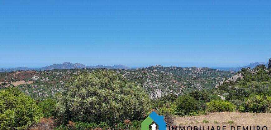 Stazzo gallurese in vendita Ref Cuncosu D