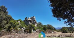 Stazzo gallurese in vendita Ref Cuncosu D