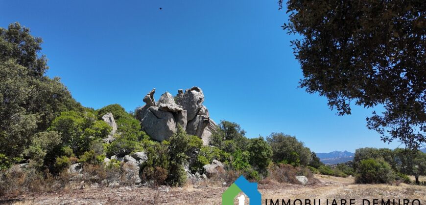 Stazzo gallurese in vendita Ref Cuncosu D
