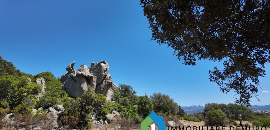 Stazzo gallurese in vendita Ref Cuncosu D