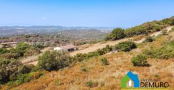 Stazzo in vendita Luogosanto Ref San Trano