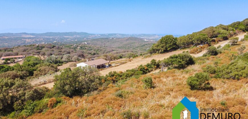 Stazzo in vendita Luogosanto Ref San Trano