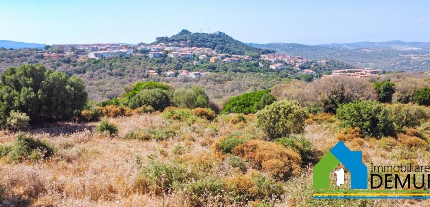 Stazzo in vendita Luogosanto Ref San Trano