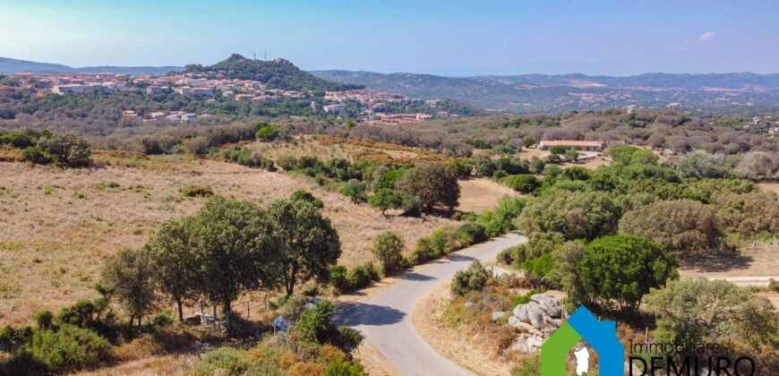 Stazzo in vendita Luogosanto Ref San Trano