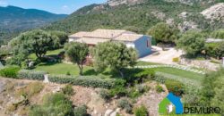Villa in vendita a Cugnana Olbia Ref. Villa Maria