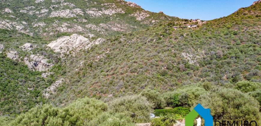 Villa in vendita a Cugnana Olbia Ref. Villa Maria